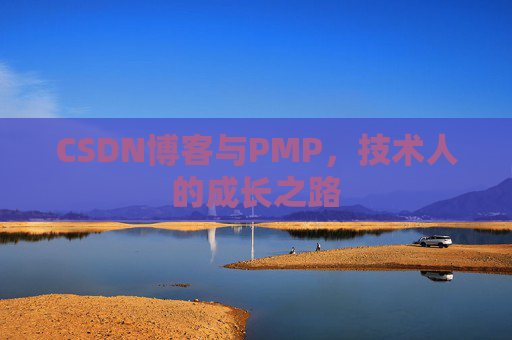CSDN博客与PMP,技术人的成长之路